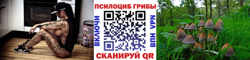мориарти состав  Хабаровск  KRAKEN рабочий сайт  Псилоцибиновые грибы GOLDEN TEACHER  цена  